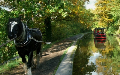 Llangollen Canal